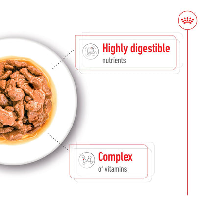 Royal Canin Size Health Nutrition Mini Adult Wet Dog Food in Gravy - 12x85g Pouches