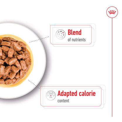 Royal Canin Size Health Nutrition Mini Ageing 8+ Wet Dog Food in Gravy - 12x85g Pouches