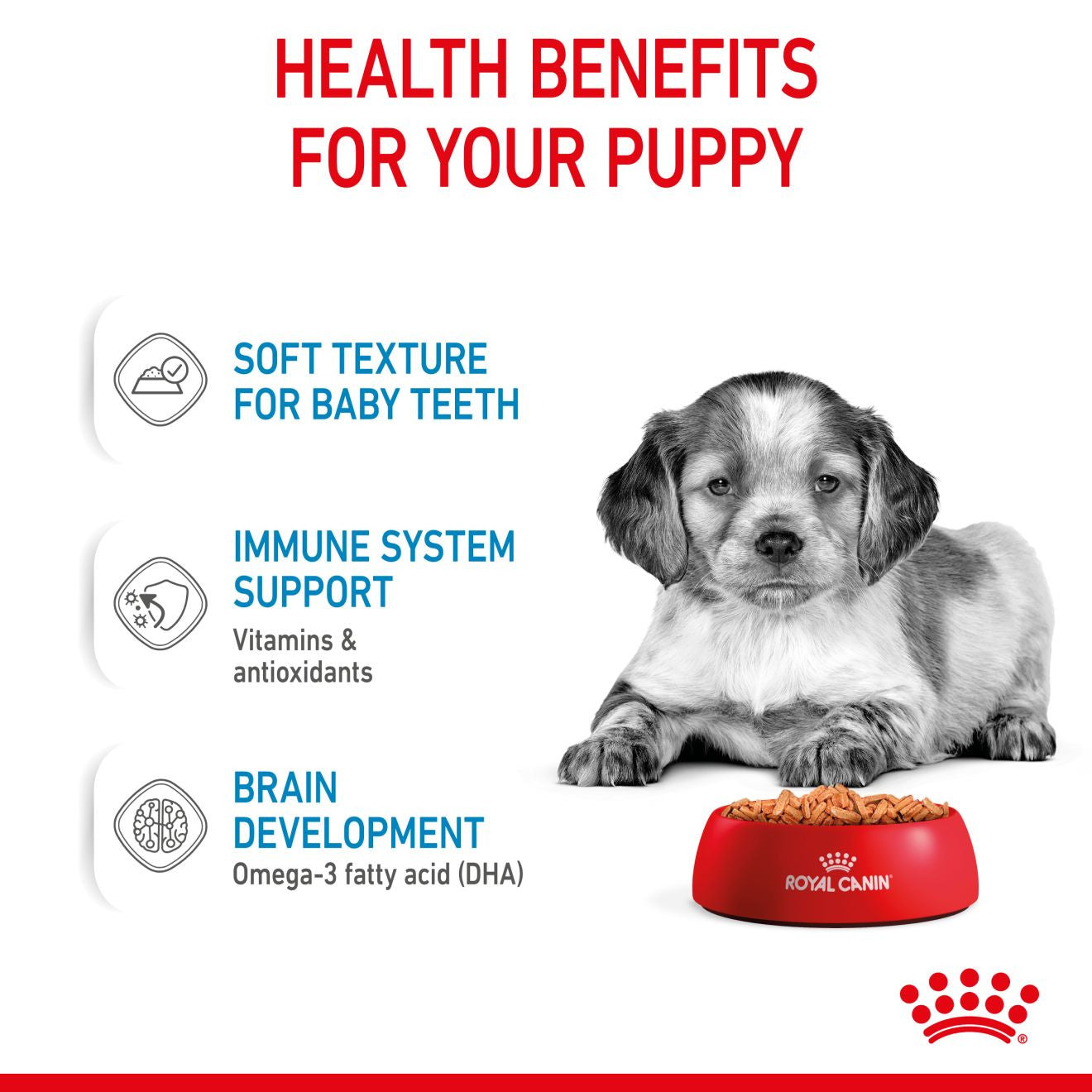 Royal Canin Size Health Nutrition Medium Puppy Wet Dog Food in Gravy - 10x140g Pouches
