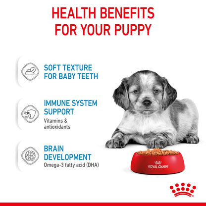 Royal Canin Size Health Nutrition Medium Puppy Wet Dog Food in Gravy - 10x140g Pouches