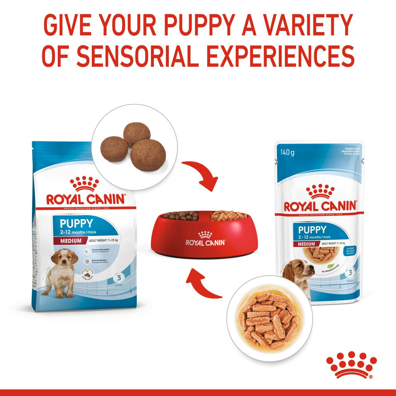 Royal Canin Size Health Nutrition Medium Puppy Wet Dog Food in Gravy - 10x140g Pouches