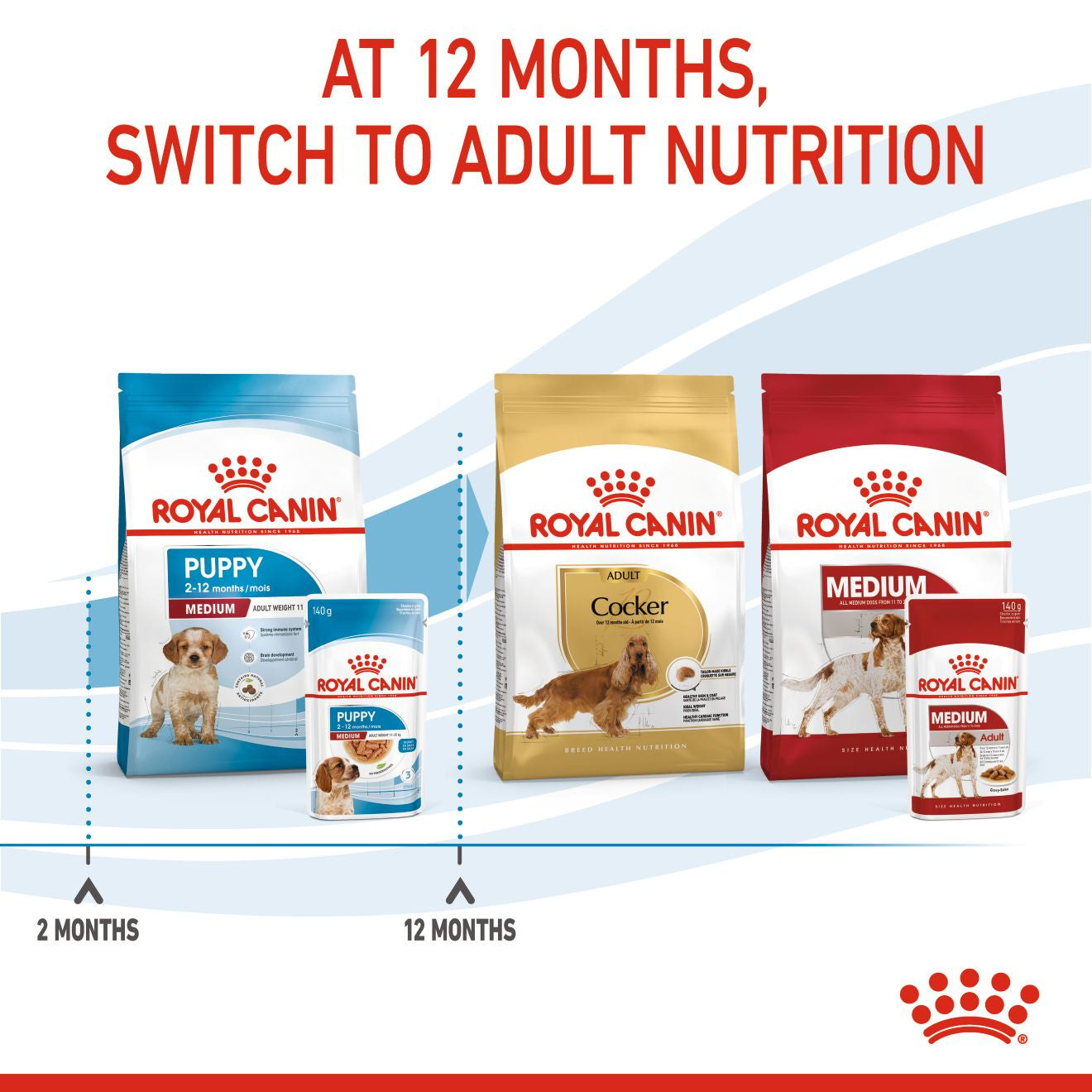 Royal Canin Size Health Nutrition Medium Puppy Wet Dog Food in Gravy - 10x140g Pouches