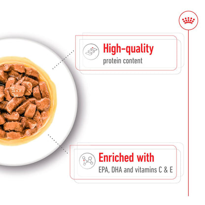 Royal Canin Size Health Nutrition Medium Ageing 7+ Wet Dog Food in Gravy - 10x140g Pouches