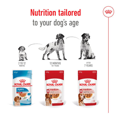 Royal Canin Size Health Nutrition Medium Ageing 7+ Wet Dog Food in Gravy - 10x140g Pouches