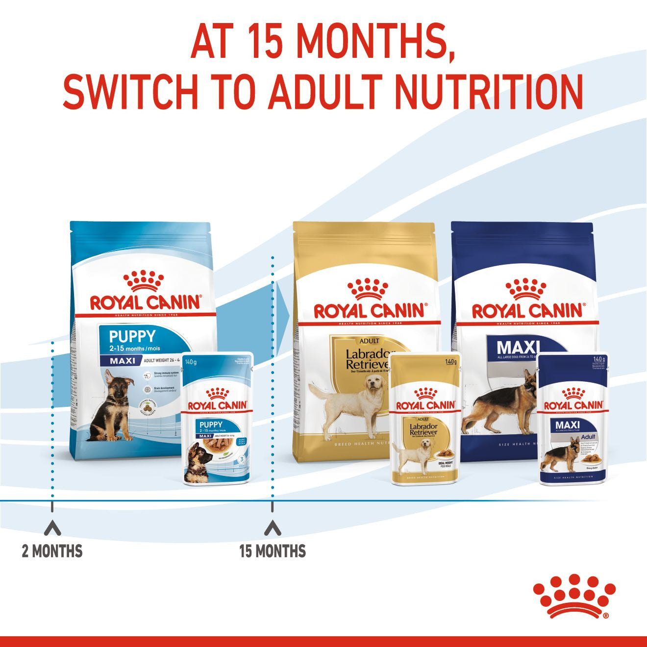 Royal Canin Size Health Nutrition Maxi Wet Puppy Food in Gravy - 10x140g Pouches