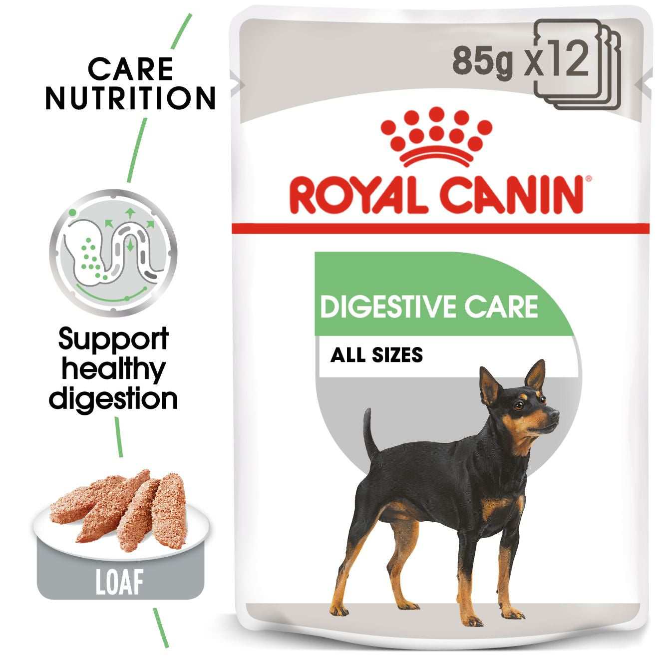 Royal Canin Digestive Canine Care Adult Wet Dog Food in Loaf - 12x85g Pouches