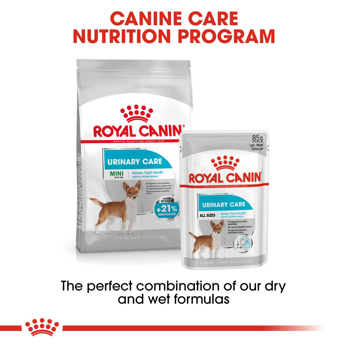 Royal Canin Urinary Canine Care Adult Wet Dog Food in Loaf - 12x85g Pouches