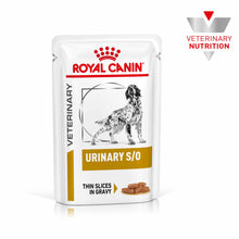 ROYAL CANIN Veterinary Urinary S/O Thin Slices in Gravy Adult Wet Dog Food - 48x100g Pouches