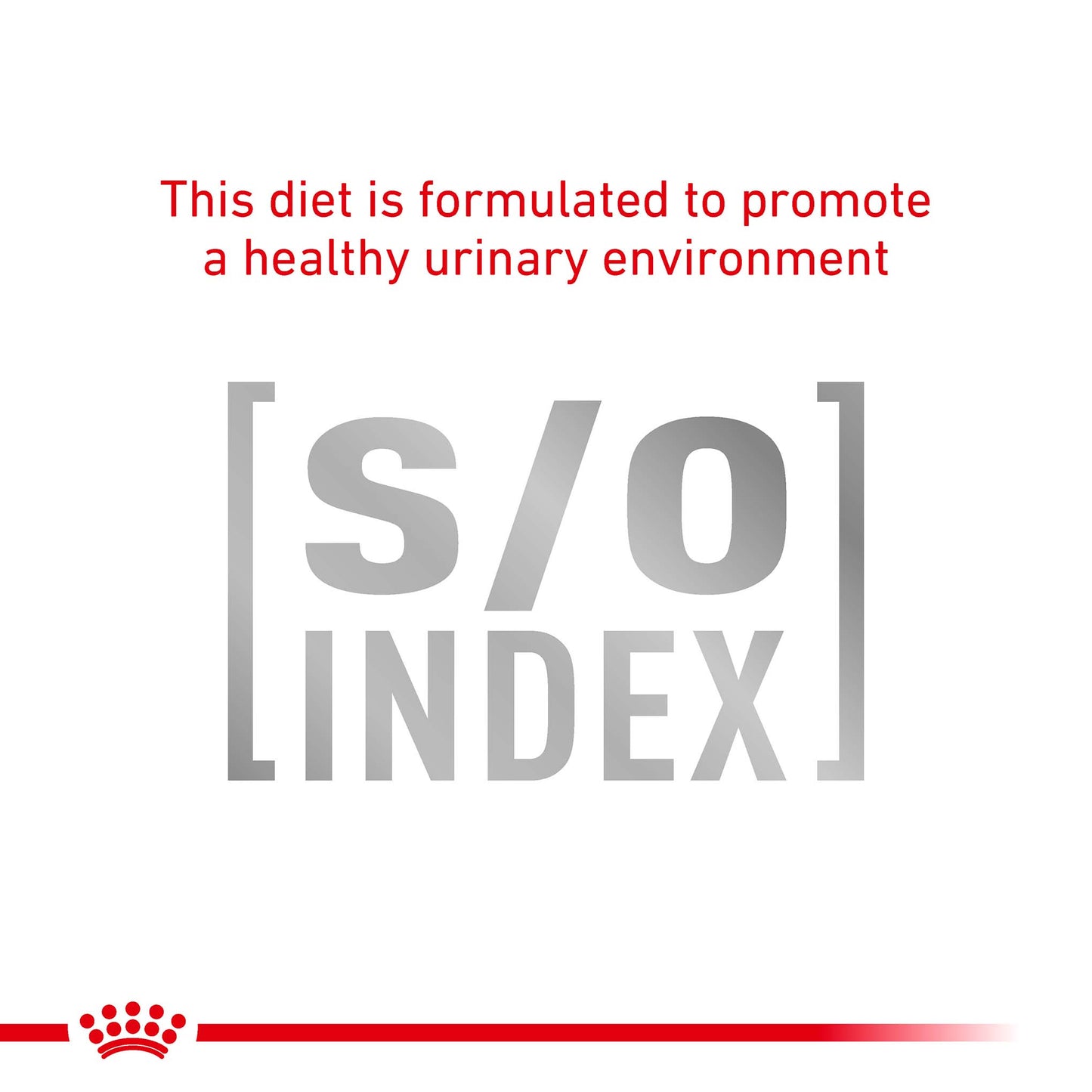 ROYAL CANIN Veterinary Urinary S/O Thin Slices in Gravy Adult Wet Dog Food - 48x100g Pouches