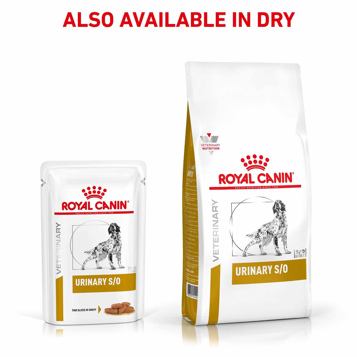 ROYAL CANIN Veterinary Urinary S/O Thin Slices in Gravy Adult Wet Dog Food - 48x100g Pouches