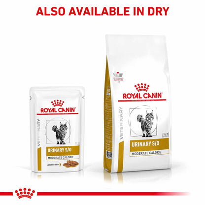 ROYAL CANIN Veterinary Urinary S/O Moderate Calorie Morsels in Gravy Adult Wet Cat Food - 48x85g Pouches