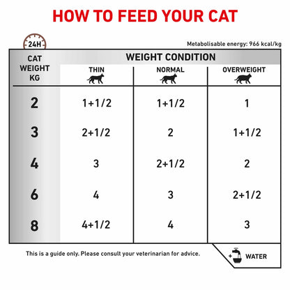 Royal Canin Veterinary Health Gastrointestinal Adult Wet Cat Food in Gravy - 12x85g Pouches