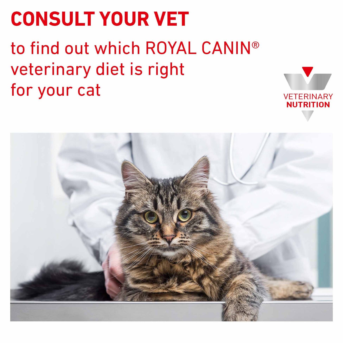 Royal Canin Veterinary Health Gastrointestinal Adult Wet Cat Food in Gravy - 12x85g Pouches