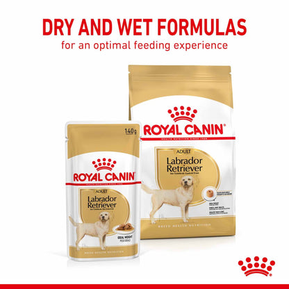 Royal Canin Breed Health Nutrition Labrador Retriever Adult Wet Dog Food - 10x140g Pouches