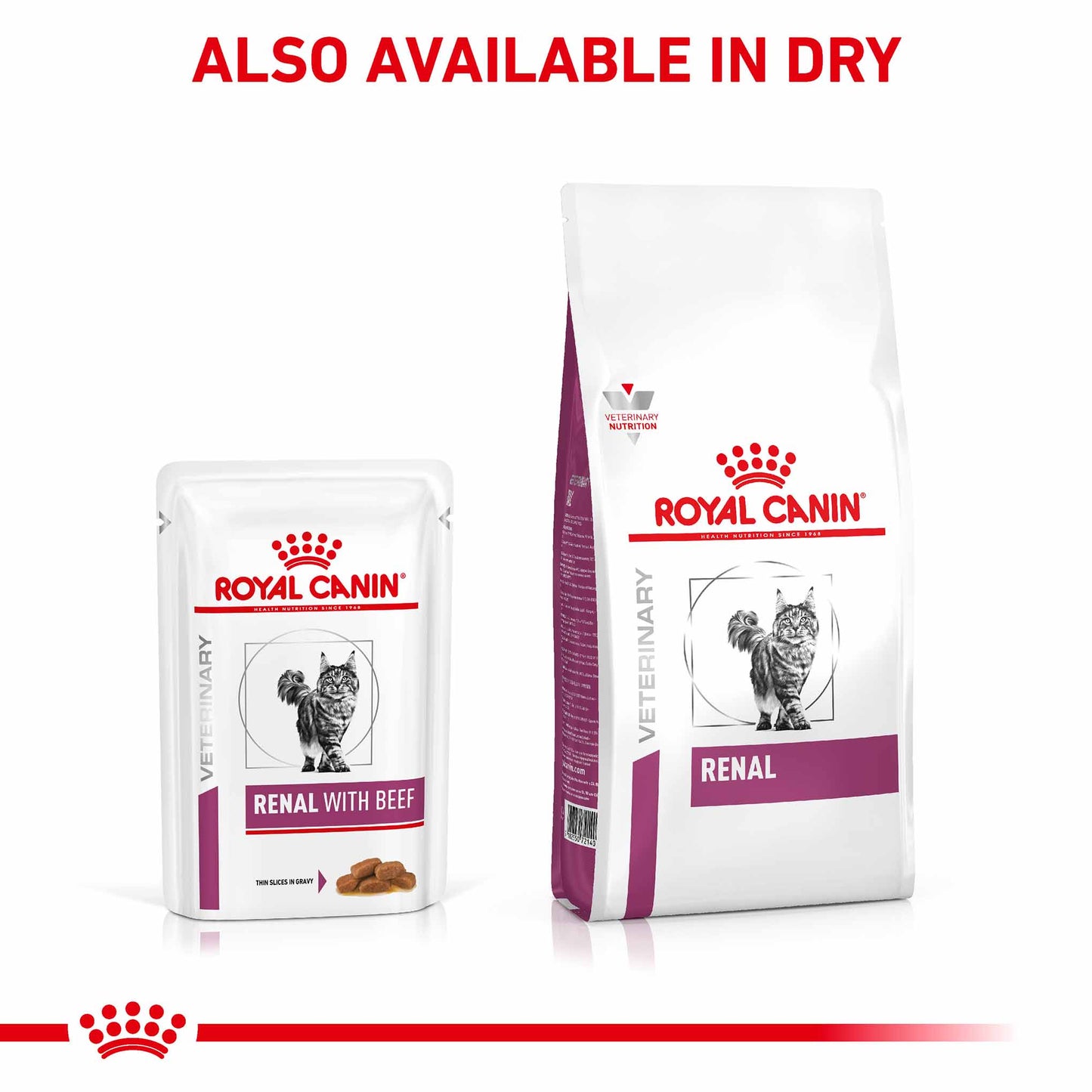 Royal Canin Veterinary Health Nutrition Renal Adult Wet Cat Food In Gravy - Beef - 48x85g Pouches