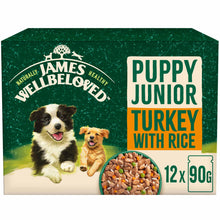 James Wellbeloved Puppy Wet Dog Food in Gravy - Turkey & Rice - 12x90g Pouches