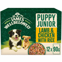 James Wellbeloved Puppy Wet Dog Food in Gravy - Lamb, Chicken & Rice - 12x90g Pouches