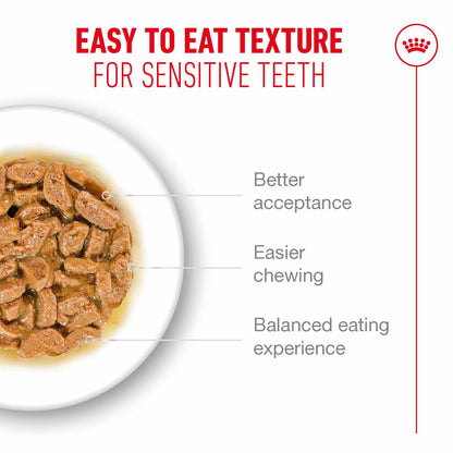 Royal Canin Ageing 11+ Senior Wet Cat Food Chunks in Gravy