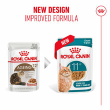 Royal Canin Ageing 11+ Senior Wet Cat Food Chunks in Gravy