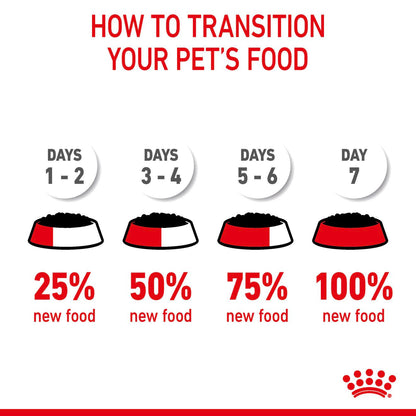 ROYAL CANIN Digestive Care Adult Wet Cat Food in Gravy - 12x85g Pouches