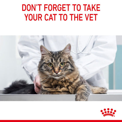 ROYAL CANIN Digestive Care Adult Wet Cat Food in Gravy - 12x85g Pouches