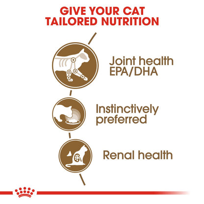 ROYAL CANIN Feline Care Nutrition Ageing 12+ Senior Wet Cat Food in Gravy - BULKPACK - 48x85g Pouche
