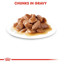 ROYAL CANIN Feline Care Nutrition Ageing 12+ Senior Wet Cat Food in Gravy - BULKPACK - 48x85g Pouche
