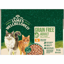 James Wellbeloved Grain Free Adult Wet Cat Food in Gravy - Turkey - 12x85g Pouches