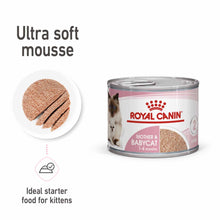 Royal Canin Feline Health Nutrition Mother & Babycat Ultra Soft Mousse Wet Cat Food - 12x195g Cans