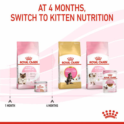 Royal Canin Feline Health Nutrition Mother & Babycat Ultra Soft Mousse Wet Cat Food - 12x195g Cans