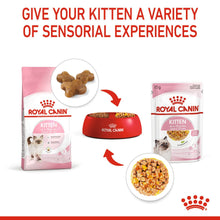 ROYAL CANIN Feline Health Nutrition Kitten Wet Cat Food in Jelly - BULKPACK - 48x85g Pouches