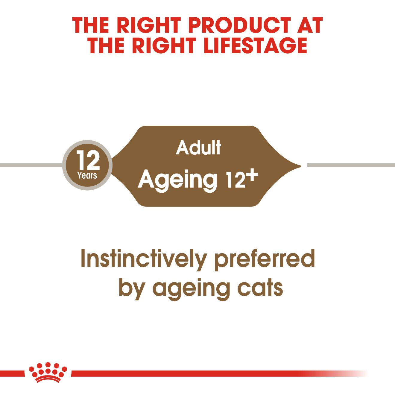 ROYAL CANIN Feline Health Nutrition Ageing 12+ Senior in Jelly Wet Cat Food - 12x85g Pouches