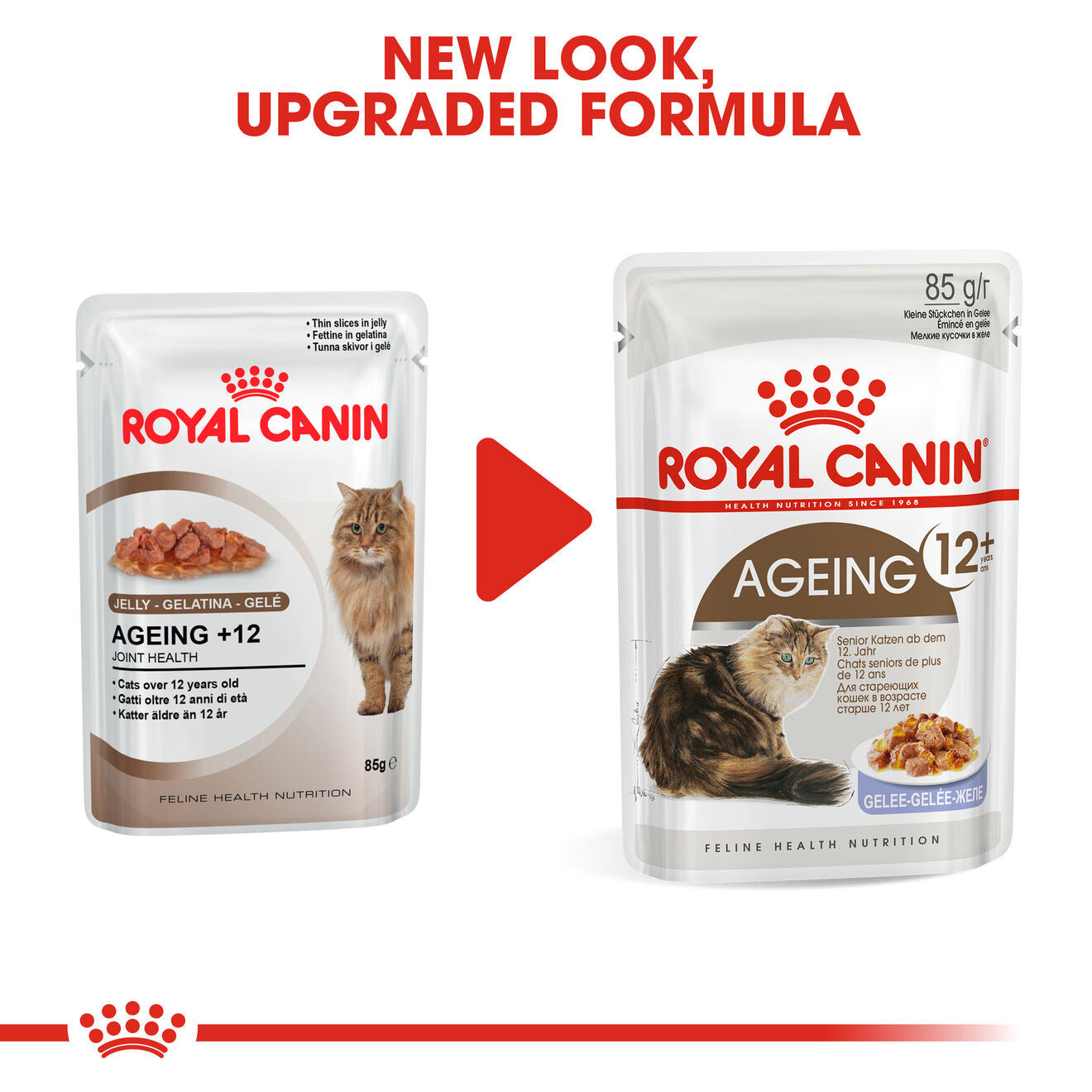 ROYAL CANIN Feline Health Nutrition Ageing 12+ Senior in Jelly Wet Cat Food - 12x85g Pouches