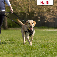 Halti Training Lead - Red