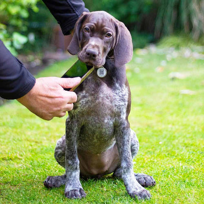 Fetch Tag - Smart Pet Tag