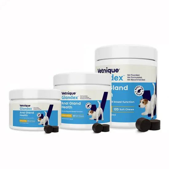 Glandex Advance Anal Gland Support Chicken Soft Chews for Dogs