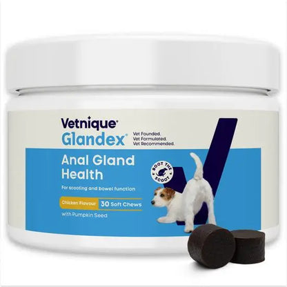 Glandex Advance Anal Gland Support Chicken Soft Chews for Dogs