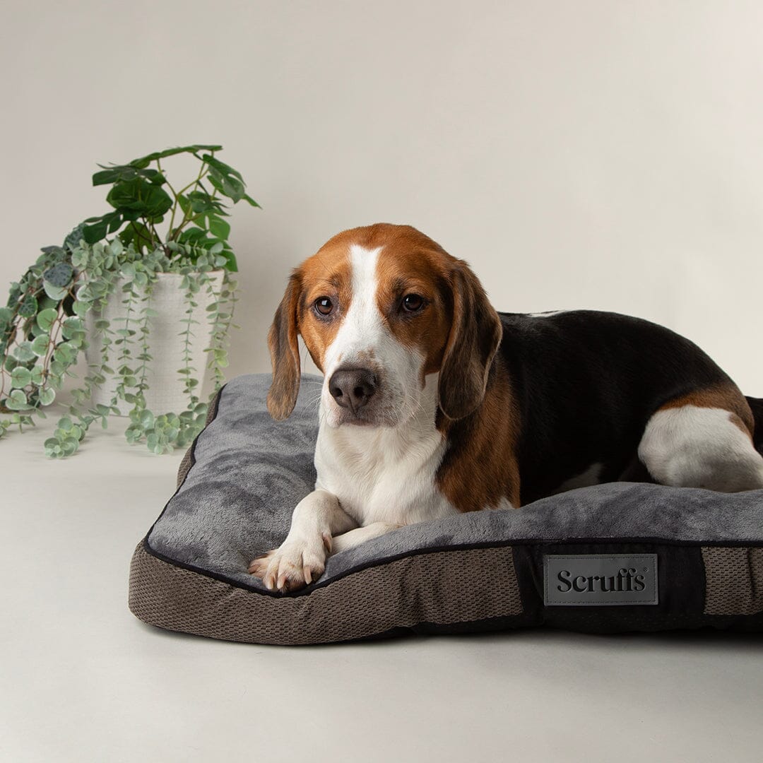 Scruffs Chester Mattress Dog Bed - Graphite Grey