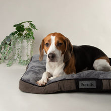 Scruffs Chester Mattress Dog Bed - Graphite Grey