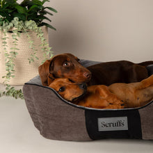 Scruffs Chester Box Dog Bed - Graphite Grey