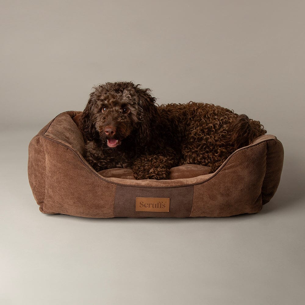 Scruffs Chester Box Dog Bed - Chocolate Brown