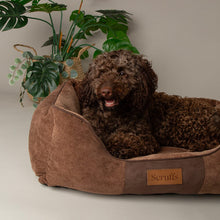 Scruffs Chester Box Dog Bed - Chocolate Brown