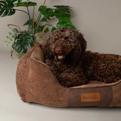 Scruffs Chester Box Dog Bed - Chocolate Brown