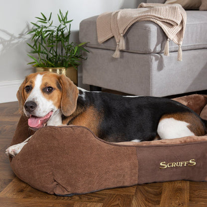Scruffs Chester Box Dog Bed - Chocolate Brown
