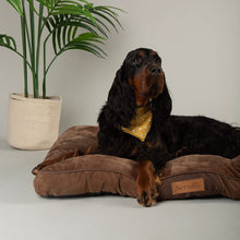 Scruffs Chester Mattress Dog Bed - Chocolate Brown