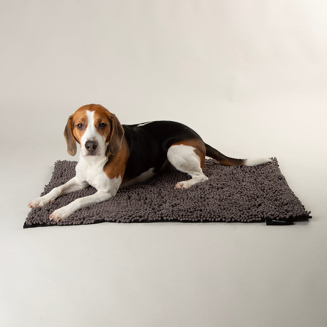 Scruffs Noodle Super Absorbent Dry Mat - Graphite