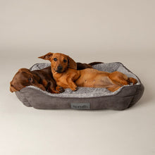 Scruffs Cosy Soft-Walled Dog Bed - Grey