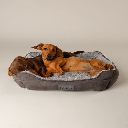 Scruffs Cosy Soft-Walled Dog Bed - Grey