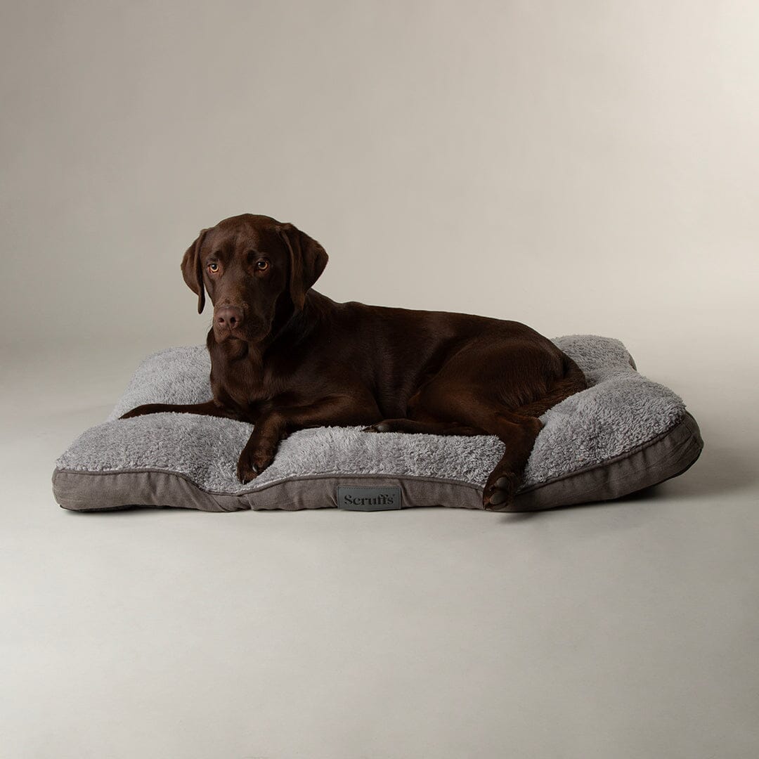 Scruffs Cosy Dog Mattress - Grey
