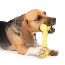 Zeus DUO Bone Dog Toy - Coconut Scented